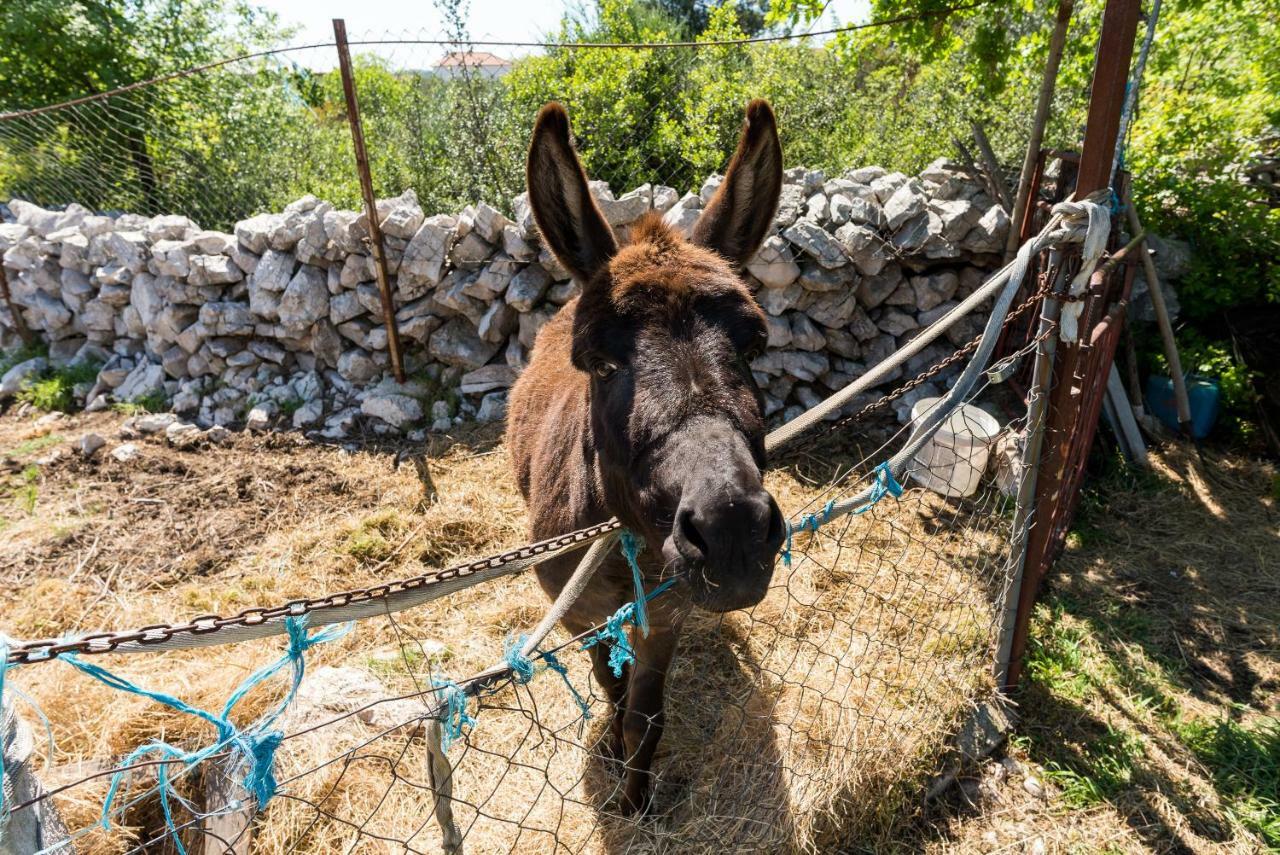 Authentic Camping Dalmatia ピロヴァッツ エクステリア 写真
