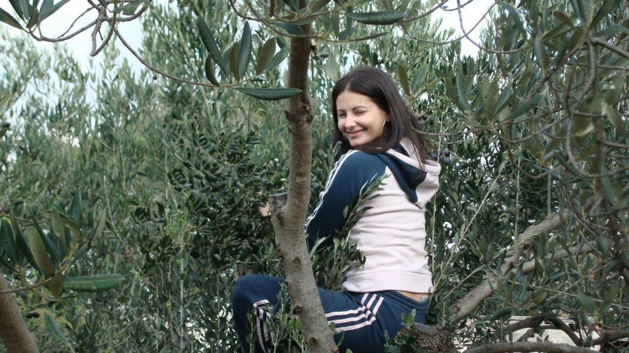 Authentic Camping Dalmatia ピロヴァッツ エクステリア 写真